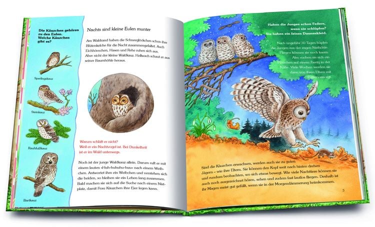 Produktbild: Unser Wald und seine Tiere. Die sch&ouml;nsten Geschichten mit vielen Sachinformationen