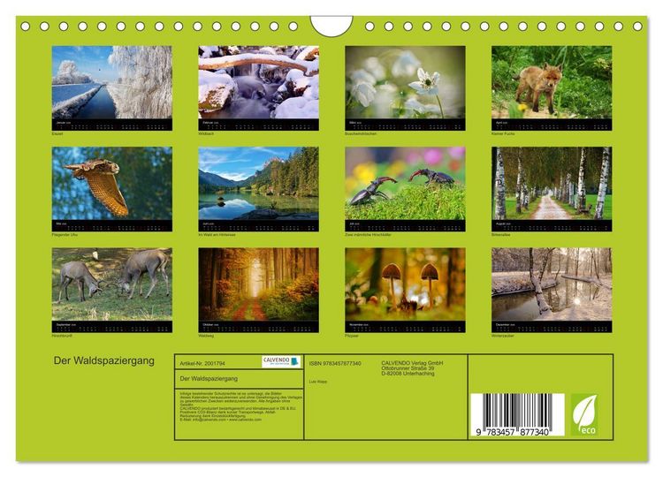 Produktbild: Der Waldspaziergang (Wandkalender 2026 DIN A4 quer), CALVENDO Monatskalender