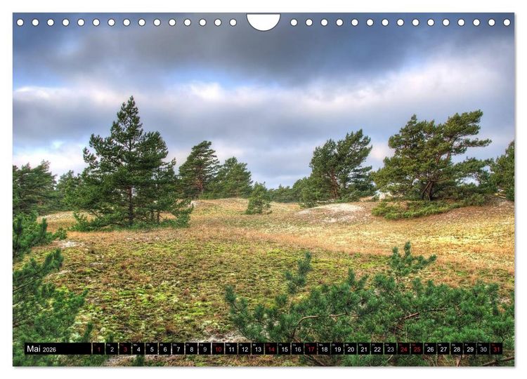 Produktbild: Fischland Dar&szlig; Zingst &ndash; Die Halbinsel an der Ostsee (Wandkalender 2026 DIN A4 quer), CALVENDO Monatskalender