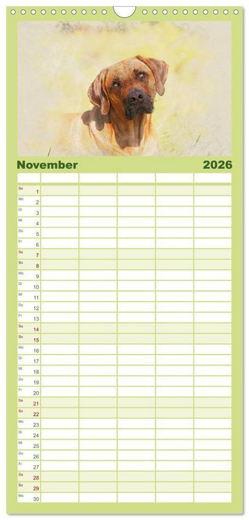 Produktbild: Familienplaner 2026 - Rhodesian Ridgeback 2026 mit 5 Spalten (Wandkalender, 21 x 45 cm) CALVENDO