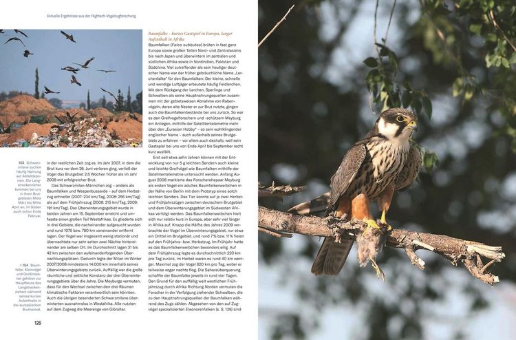 Produktbild: Vogelzug