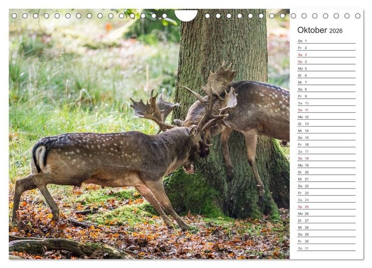 Produktbild: Emotionale Momente: Wild und Jagd. (Wandkalender 2026 DIN A4 quer), CALVENDO Monatskalender