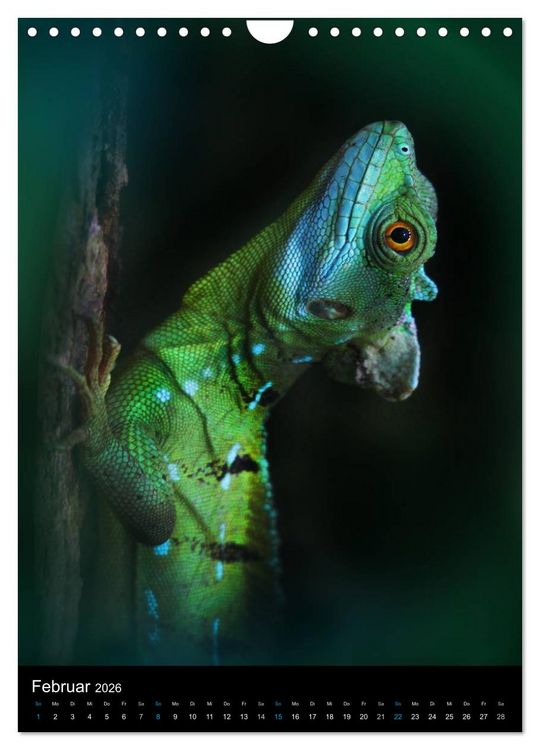 Produktbild: Auge in Auge mit coolen Typen - REPTILIEN (Wandkalender 2026 DIN A4 hoch), CALVENDO Monatskalender