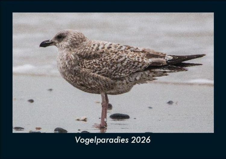 Produktbild: Vogelparadies 2026 Fotokalender DIN A5