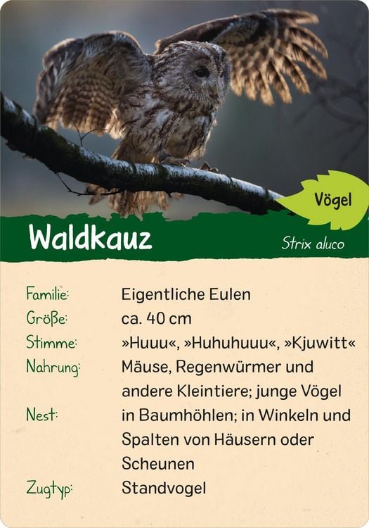 Produktbild: Naturforscher-Kids &ndash; Wald