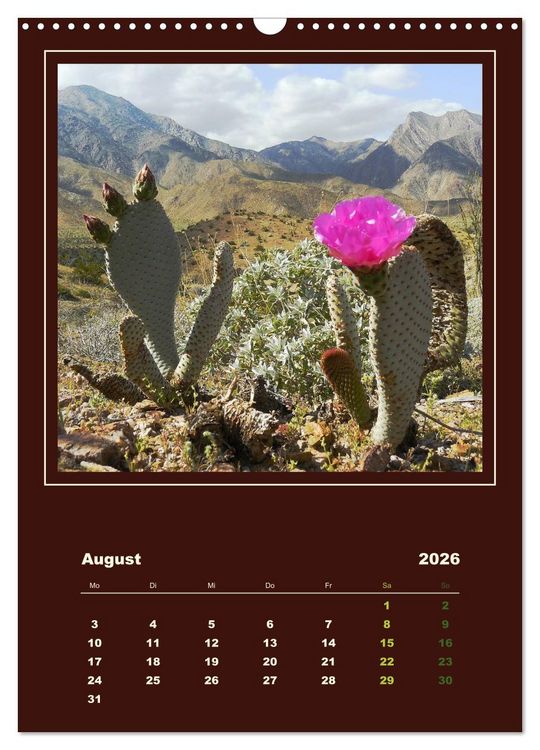 Produktbild: Wilde Kakteen Amerikas (Wandkalender 2026 DIN A3 hoch), CALVENDO Monatskalender