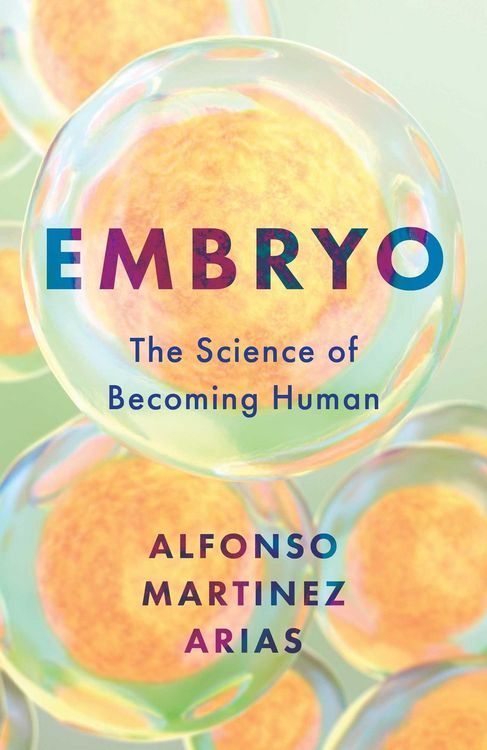 Produktbild: Embryo