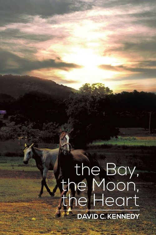 Produktbild: The Bay, the Moon, the Heart