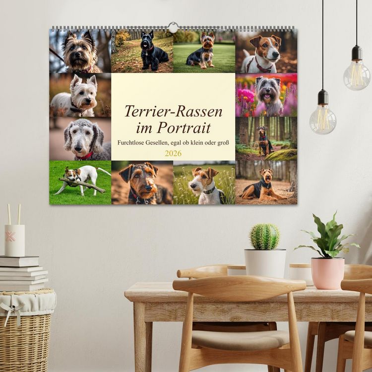 Produktbild: Terrier-Rassen im Portrait (Wandkalender 2026 DIN A2 quer), CALVENDO Monatskalender