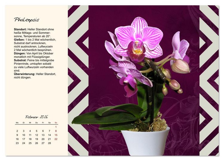 Produktbild: Bl&uuml;tenpracht am Fenster (Wandkalender 2026 DIN A3 quer), CALVENDO Monatskalender