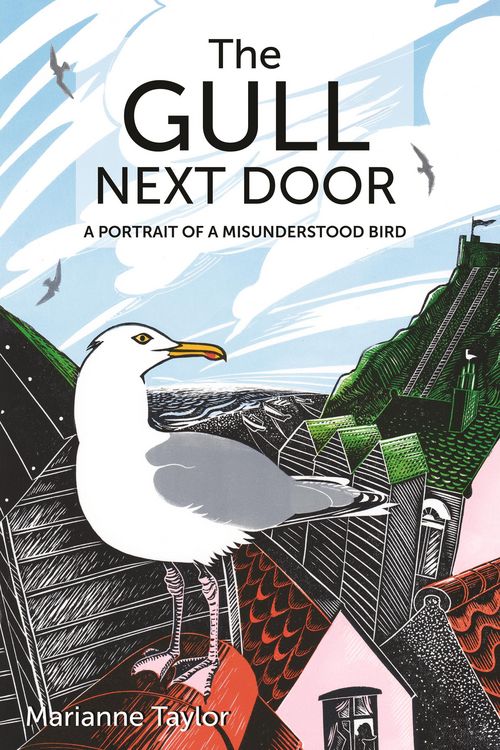 Produktbild: The Gull Next Door