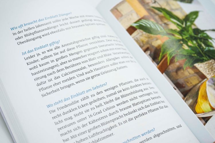 Produktbild: Der Pflanzenarzt: Gl&uuml;ckliche und gesunde Zimmerpflanzen