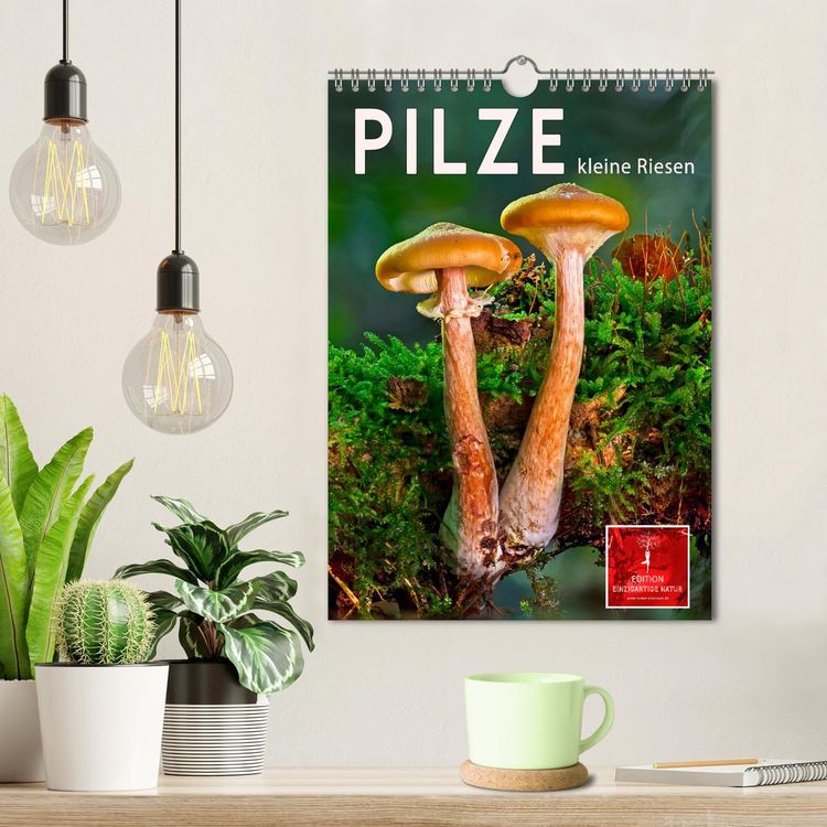 Produktbild: Pilze - kleine Riesen (Wandkalender 2026 DIN A4 hoch), CALVENDO Monatskalender
