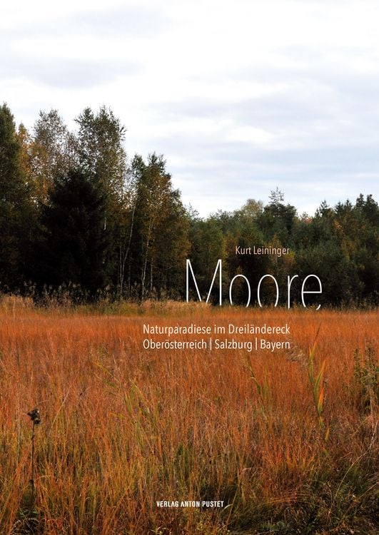 Produktbild: Moore