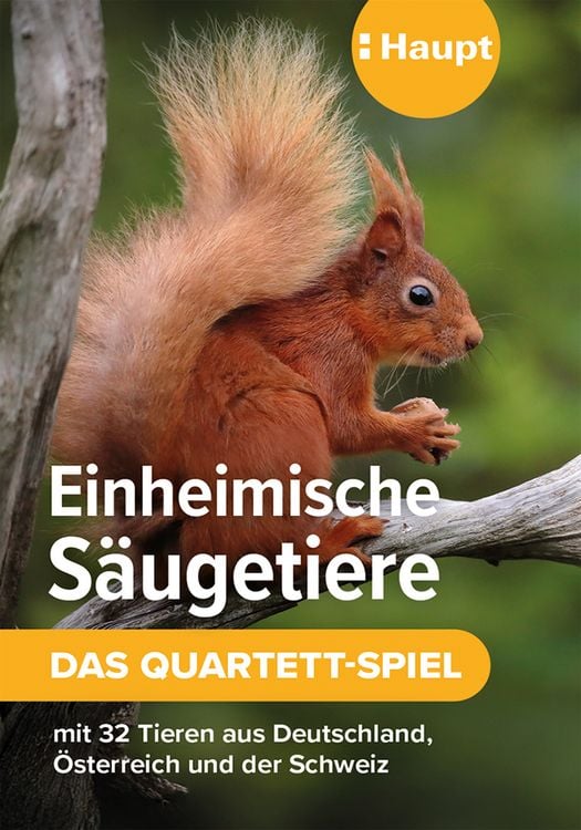 Produktbild: Einheimische S&auml;ugetiere &ndash; das Quartett-Spiel