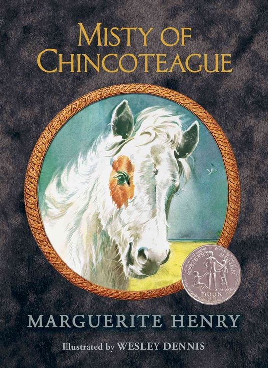 Produktbild: Misty of Chincoteague