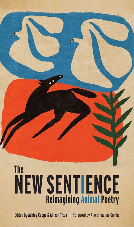 Produktbild: The New Sentience
