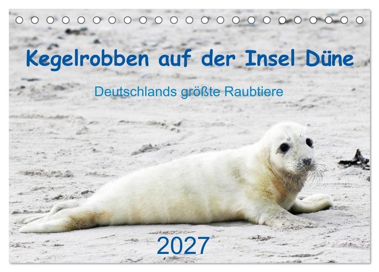 Produktbild: Kegelrobben auf der Insel D&uuml;ne (Tischkalender 2027 DIN A5 quer), CALVENDO Monatskalender