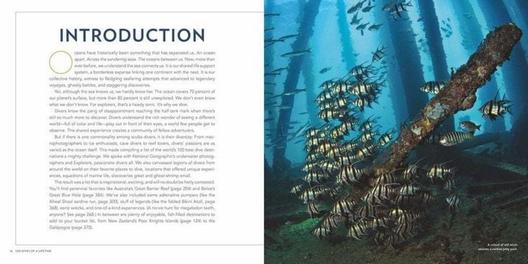 Produktbild: Big Blue