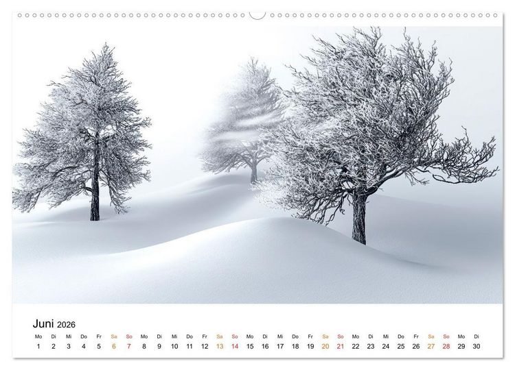 Produktbild: Winterzauber - Nordwind und Schneegest&ouml;ber (Wandkalender 2026 DIN A2 quer), CALVENDO Monatskalender