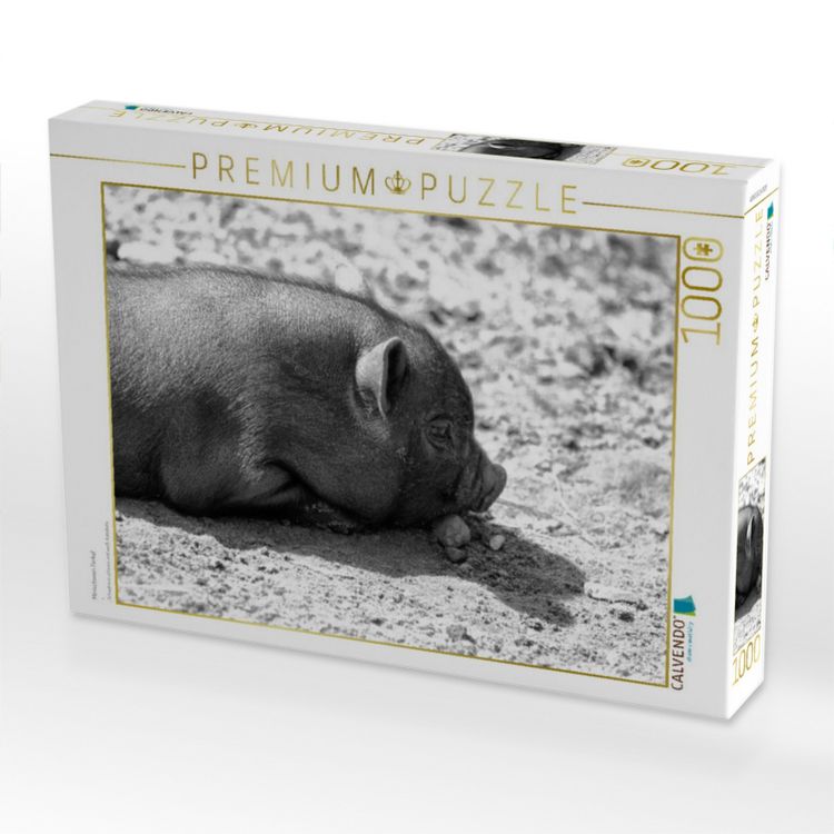 Produktbild: CALVENDO Puzzle Minischwein Ferkel | 1000 Teile Lege-Gr&ouml;&szlig;e 64x48cm Foto-Puzzle f&uuml;r gl&uuml;ckliche Stunden