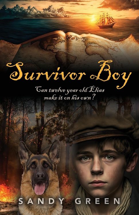 Produktbild: Survivor Boy