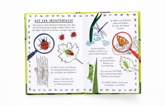 Produktbild: Hallo Insekten