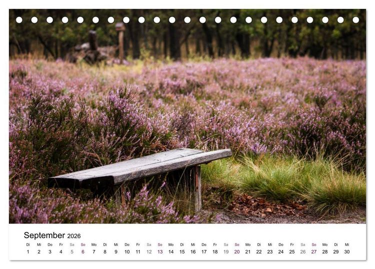 Produktbild: L&uuml;neburger Heide (Tischkalender 2026 DIN A5 quer), CALVENDO Monatskalender