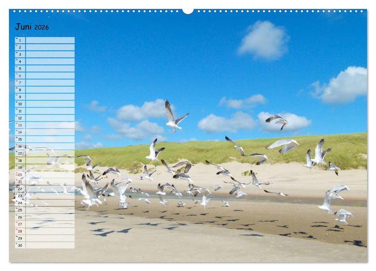 Produktbild: Egmond aan Zee (Wandkalender 2026 DIN A2 quer), CALVENDO Monatskalender