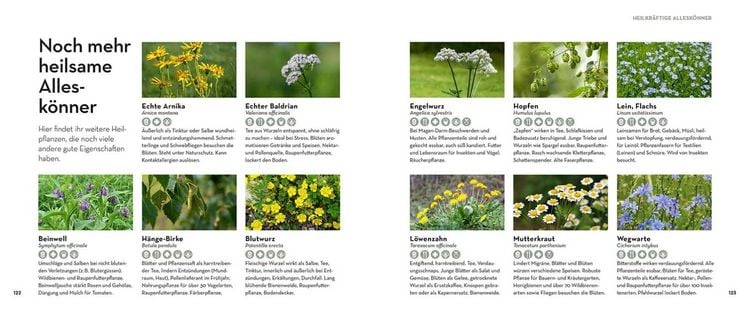 Produktbild: Allesk&ouml;nner im Garten