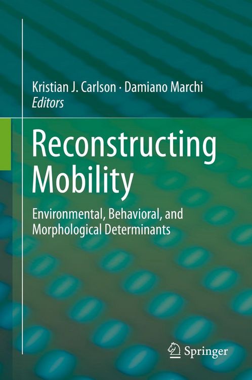 Produktbild: Reconstructing Mobility