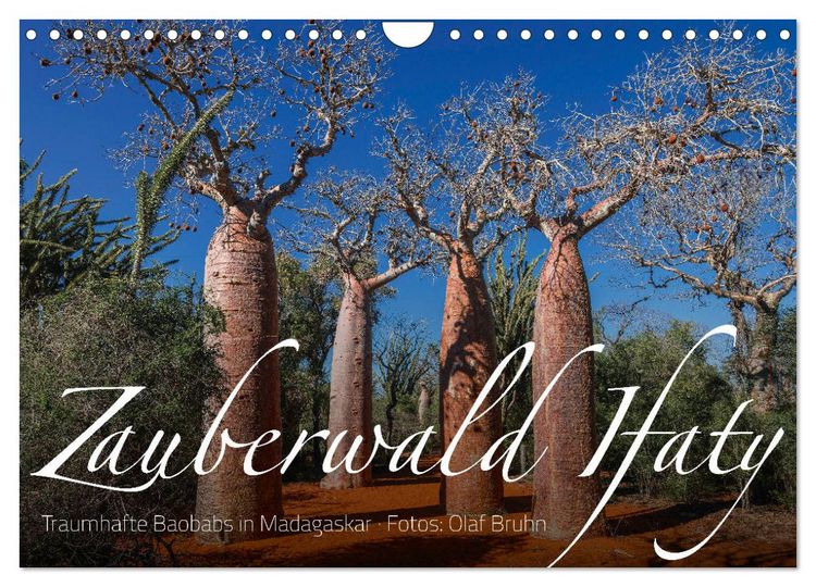 Produktbild: Zauberwald Ifaty &middot; Traumhafte Baobabs in Madagaskar (Wandkalender 2026 DIN A4 quer), CALVENDO Monatskalender
