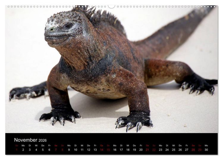 Produktbild: Ama la Vida Ecuador (Wandkalender 2026 DIN A2 quer), CALVENDO Monatskalender