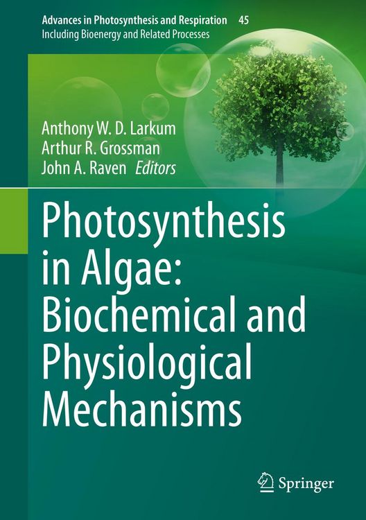 Produktbild: Photosynthesis in Algae: Biochemical and Physiological Mechanisms