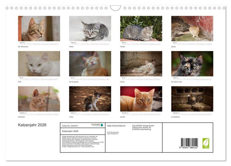 Produktbild: Katzenjahr 2026 (Wandkalender 2026 DIN A3 quer), CALVENDO Monatskalender