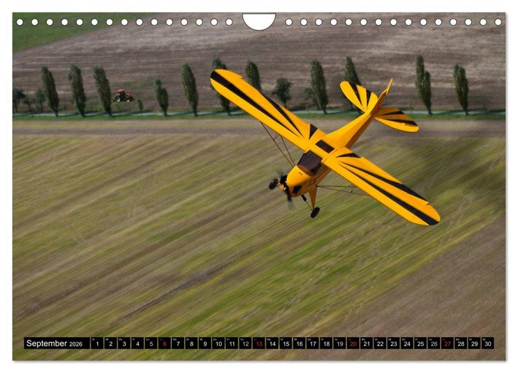 Produktbild: Modellflugzeuge Nr. 1 / 2026 (Wandkalender 2026 DIN A4 quer), CALVENDO Monatskalender