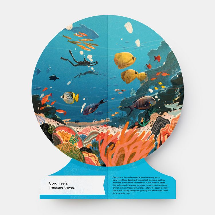 Produktbild: Our Underwater World