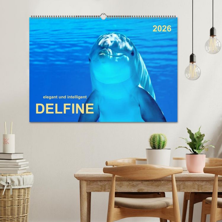 Produktbild: Delfine - elegant und intelligent (Wandkalender 2026 DIN A2 quer), CALVENDO Monatskalender