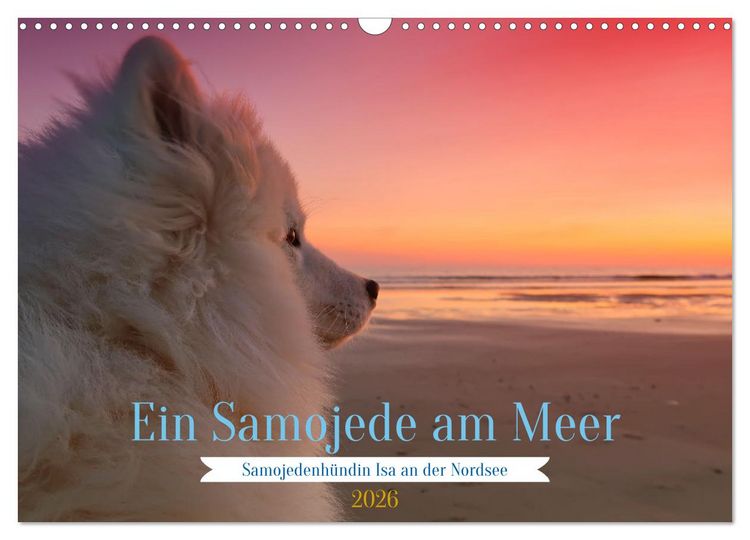 Produktbild: Ein Samojede am Meer (Wandkalender 2026 DIN A3 quer), CALVENDO Monatskalender