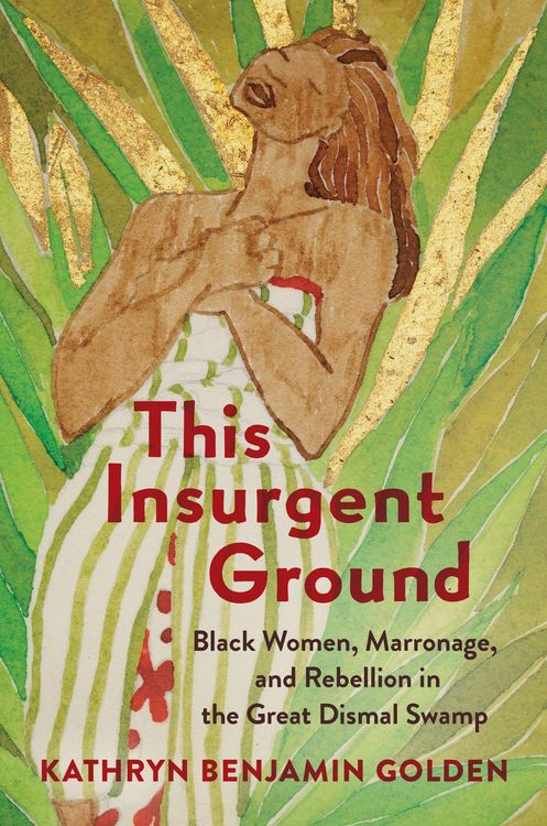 Produktbild: This Insurgent Ground