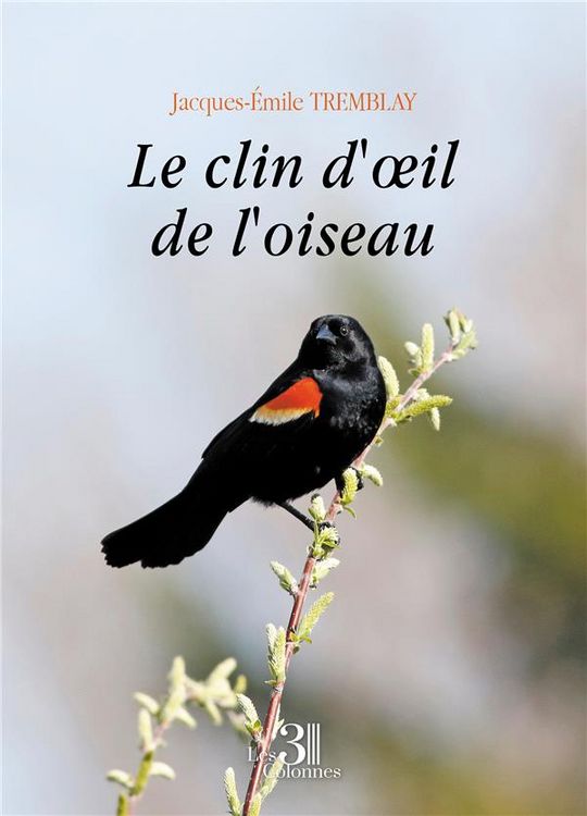 Produktbild: Le clin d oeil de l oiseau