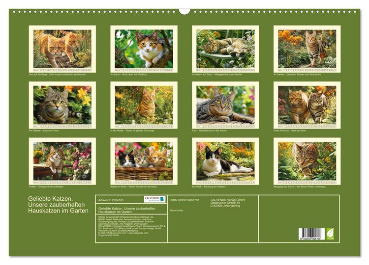 Produktbild: Geliebte Katzen. Unsere zauberhaften Hauskatzen im Garten (Wandkalender 2026 DIN A2 quer), CALVENDO Monatskalender