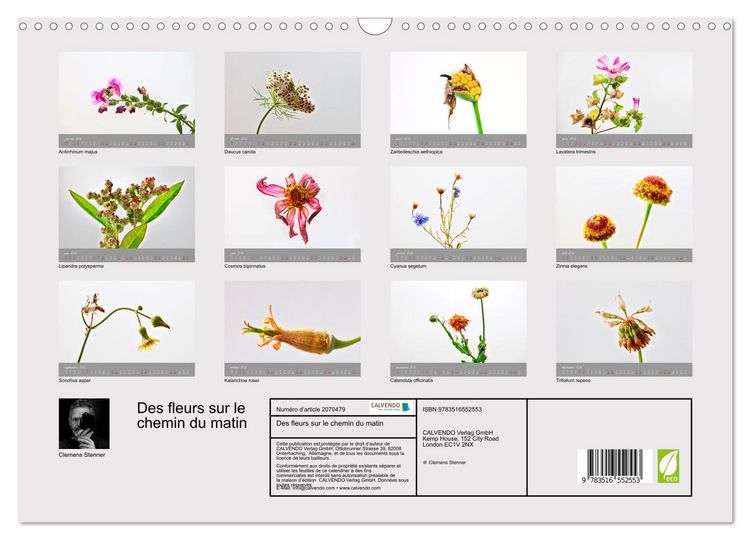 Produktbild: Des fleurs sur le chemin du matin (Calendrier mural 2026 DIN A3 vertical), CALVENDO calendrier mensuel