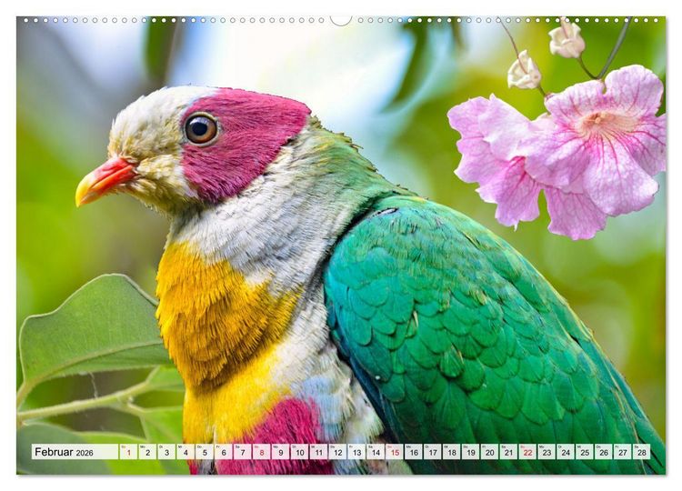 Produktbild: Wer gurrt denn da? (Wandkalender 2026 DIN A2 quer), CALVENDO Monatskalender