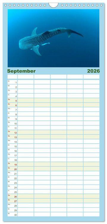 Produktbild: Familienplaner 2026 - Tiefsee - Ein Abenteuer ins Unbekannte. mit 5 Spalten (Wandkalender, 21 x 45 cm) CALVENDO