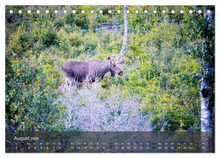 Produktbild: Traumhaftes V&auml;rmland (Tischkalender 2026 DIN A5 quer), CALVENDO Monatskalender