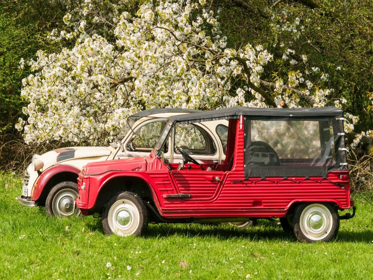 Produktbild: CALVENDO Puzzle Zweizylinder Treffen unter dem Kirschbaum | 1000 Teile Lege-Gr&ouml;&szlig;e 64x48cm Foto-Puzzle f&uuml;r gl&uuml;ckliche Stunden