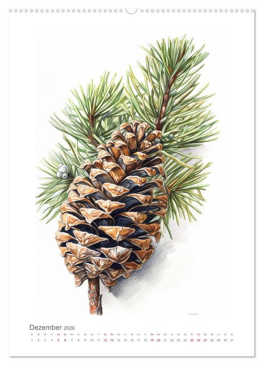 Produktbild: Buntstiftzeichnungen (Wandkalender 2026 DIN A2 hoch), CALVENDO Monatskalender
