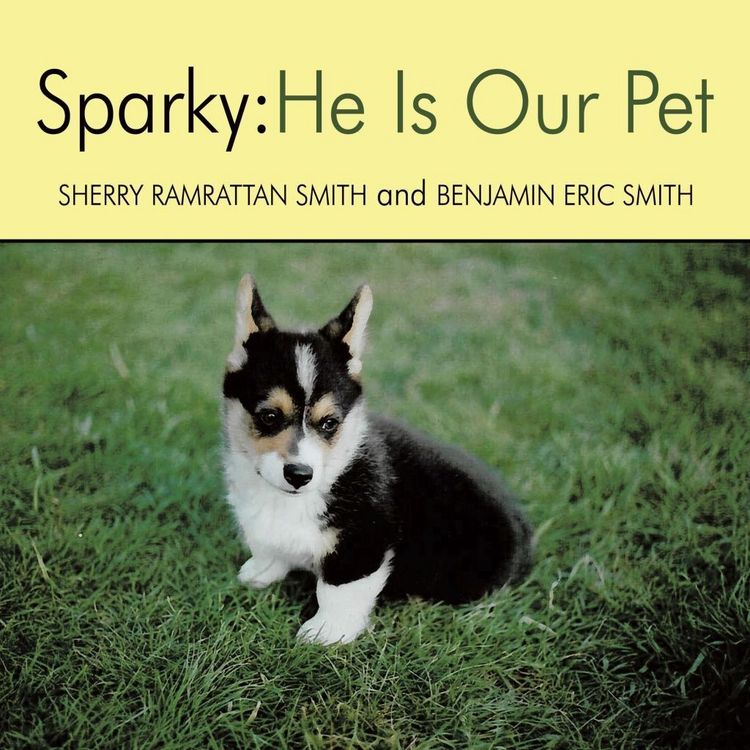 Produktbild: Sparky
