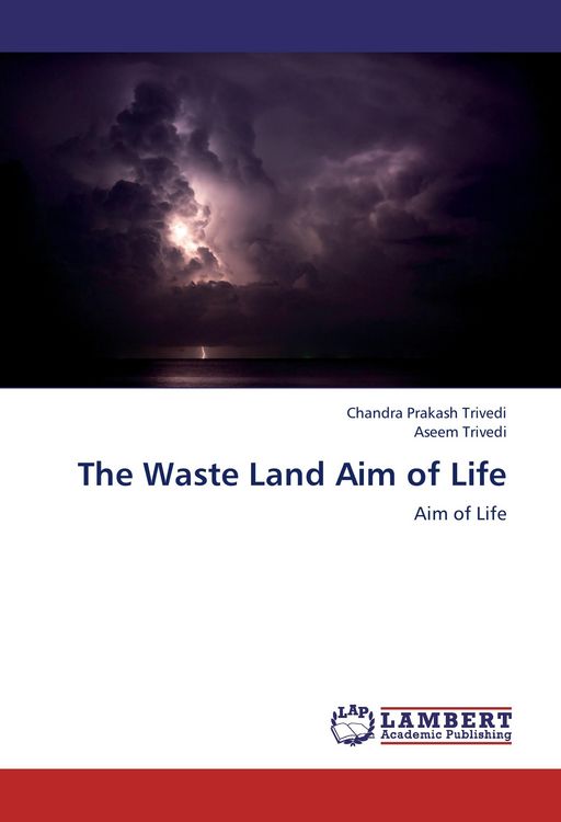 Produktbild: The Waste Land Aim of Life